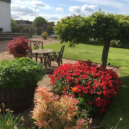Auchenlea Lodges-2